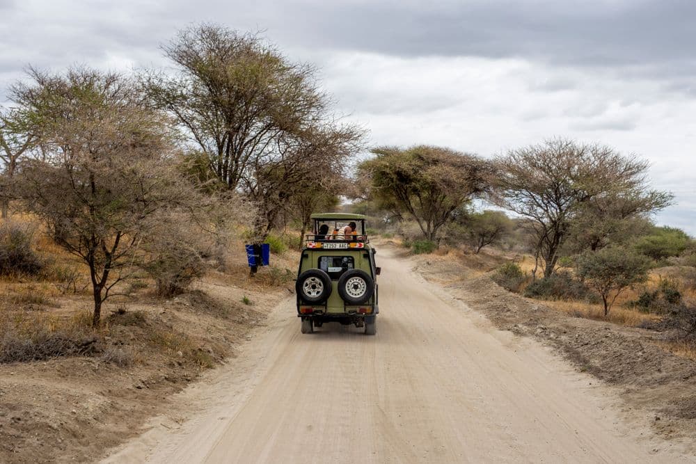 Jungle Jeep Drive