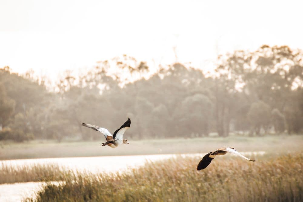 The Best Time to Visit Chitwan National Park